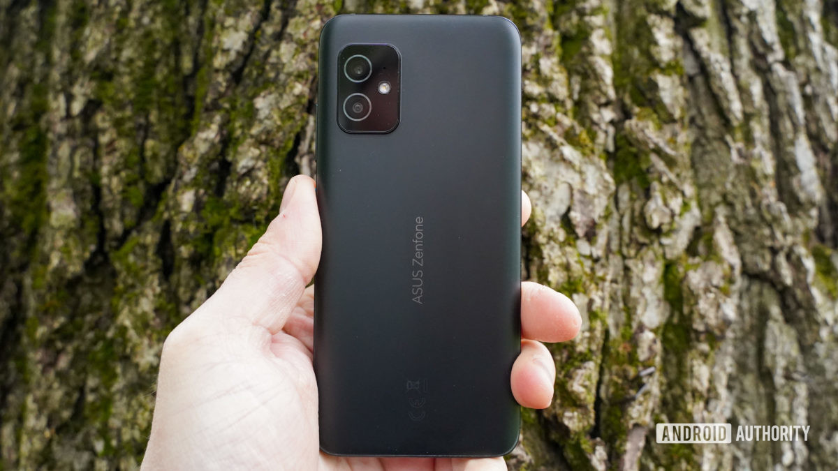 Asus Zenfone 8 rear against tree