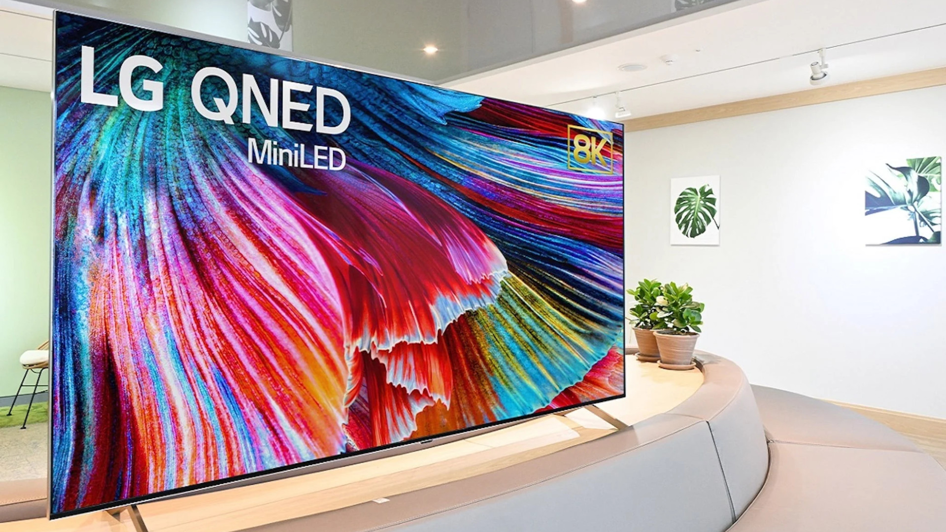 LG QNED TV