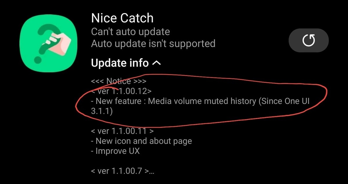 Nice Catch One UI 3.1.1