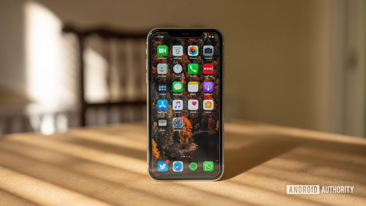 iphone 11 display