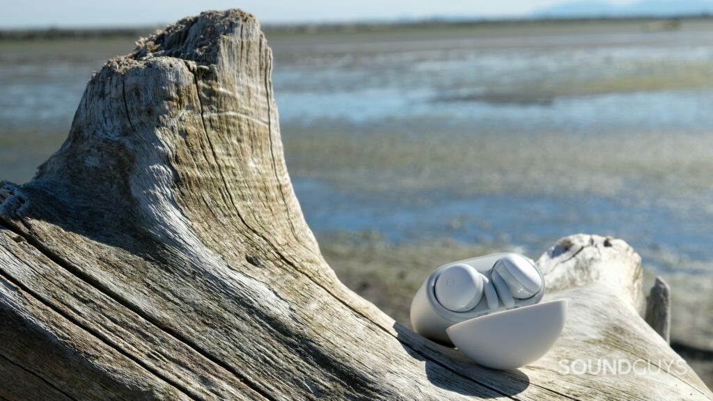 The Google Pixel Buds A-Series are sitting in their case on a piece of driftwood at a beach.