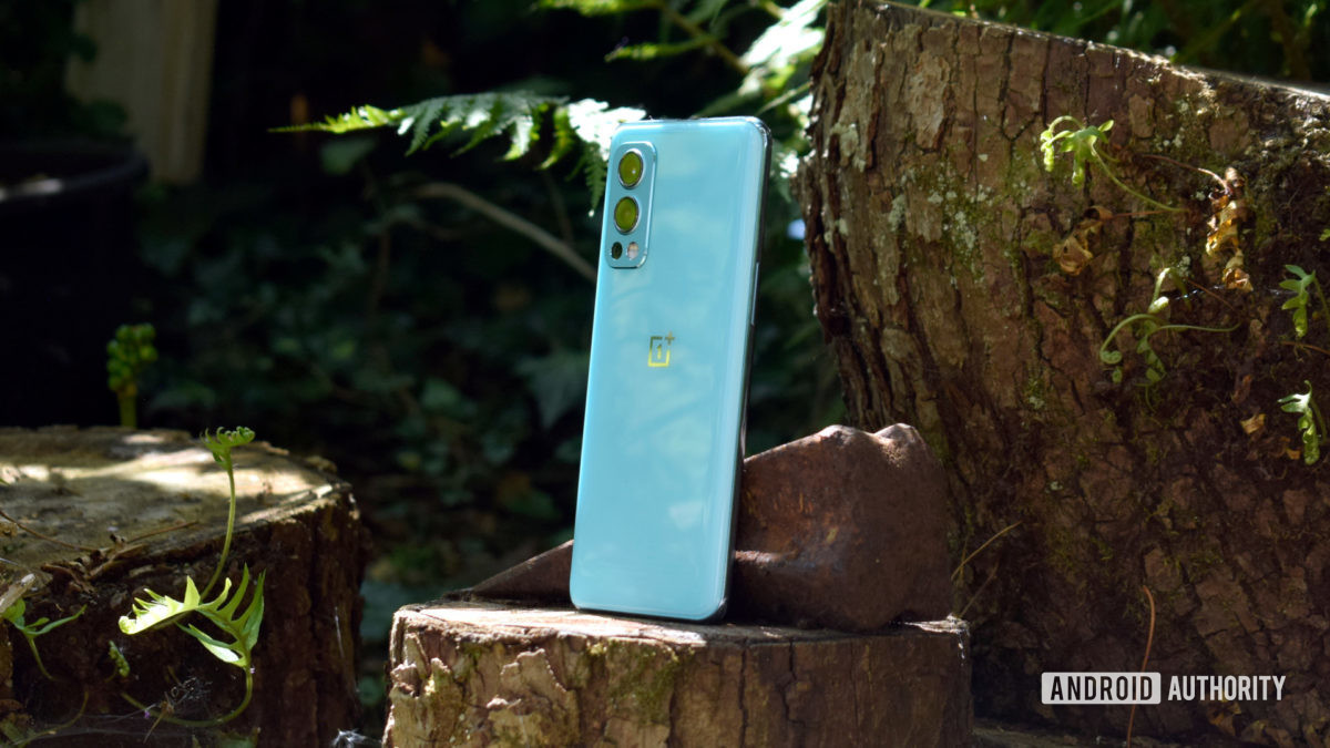 OnePlus Nord 2 5G back side-on standing on tree stump