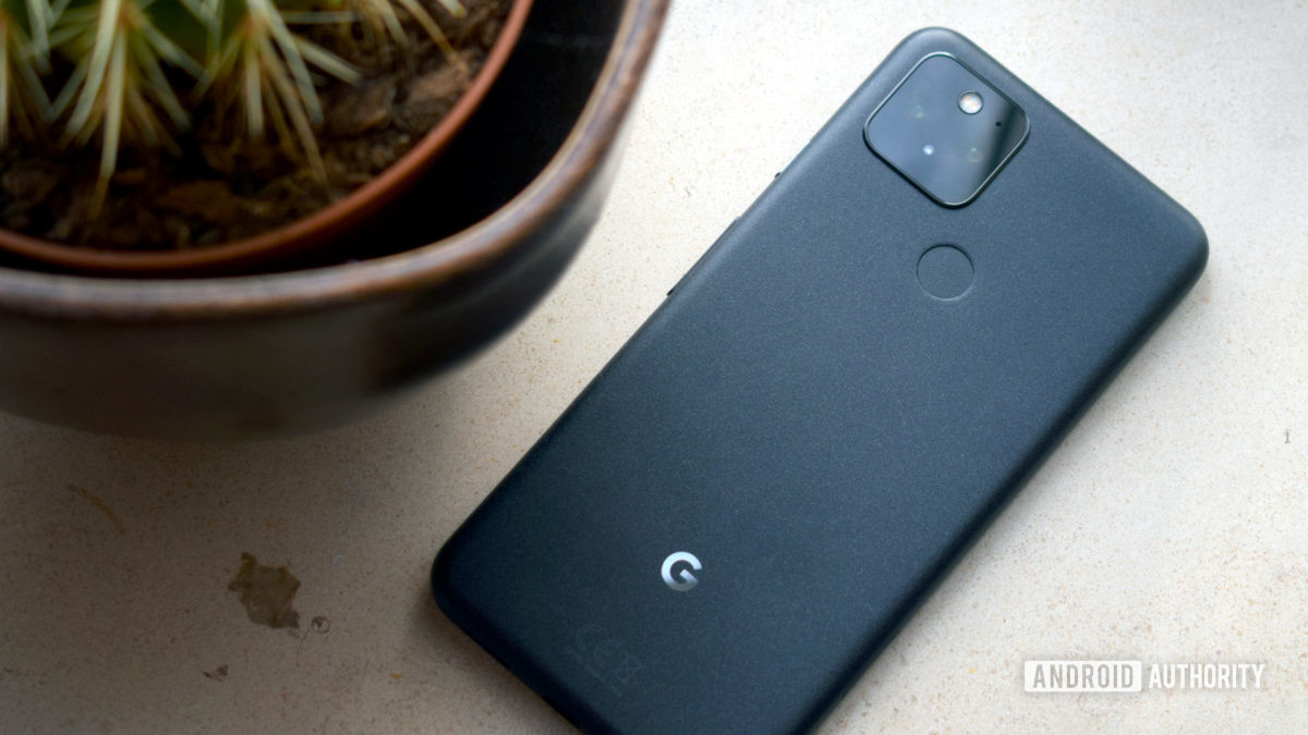 Google Pixel 5 Grey back