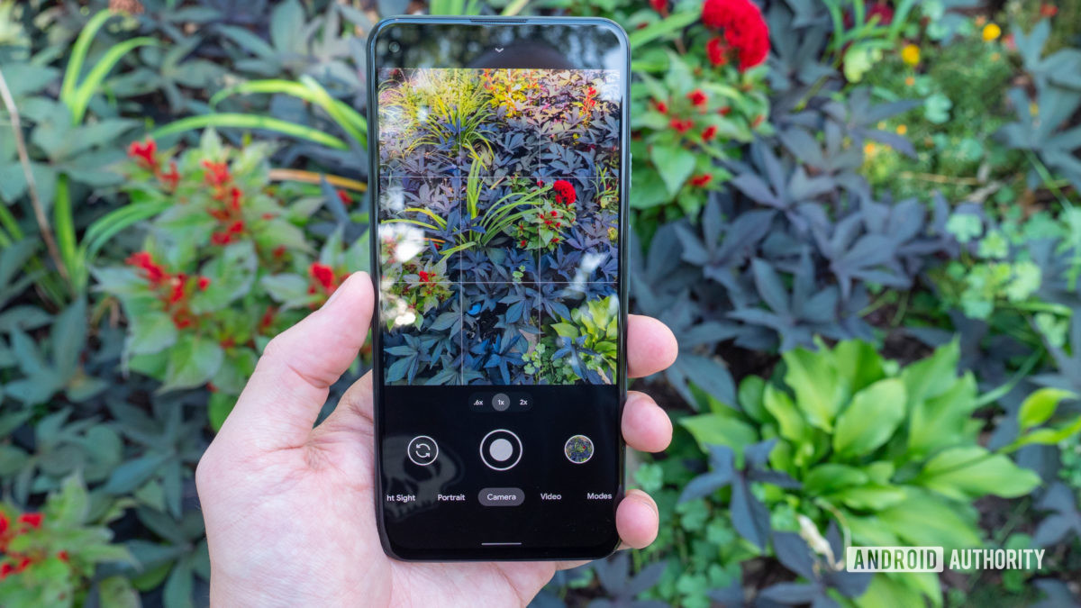 the google pixel 5a camera app showing flowers