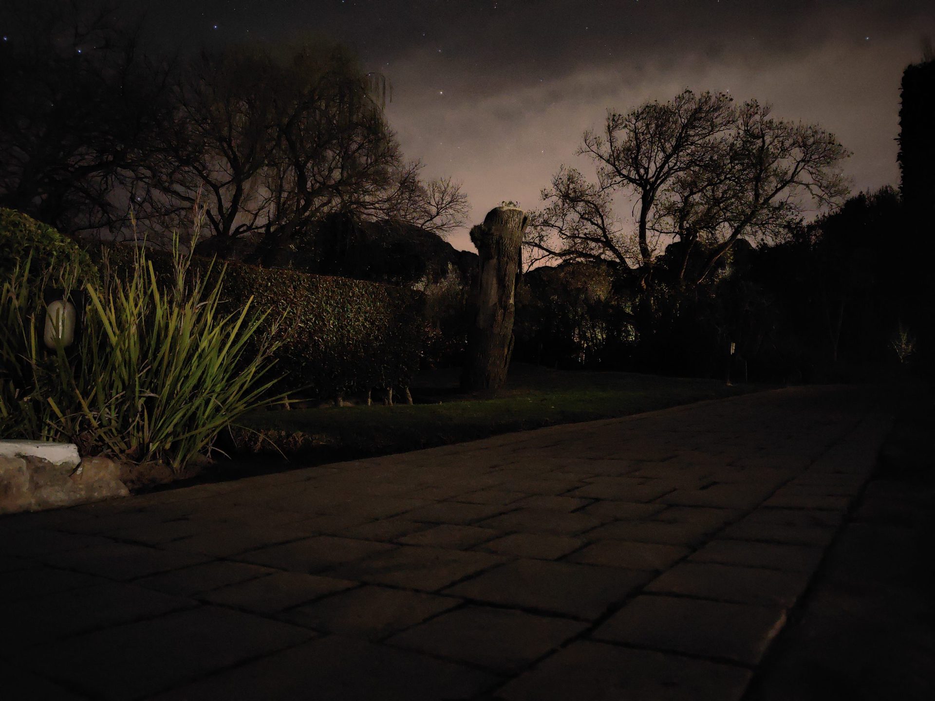 A tripod-mounted shot from the 1x camera in extreme low light.