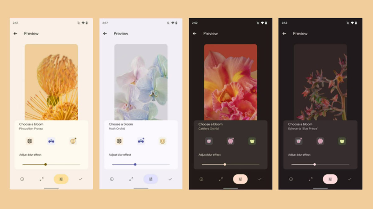 Google Pixel 6 Wallpapers Bloom Leaked