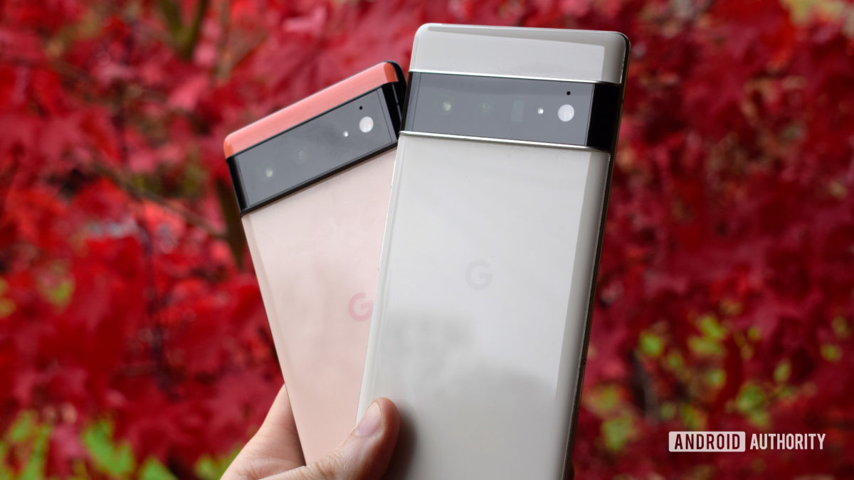 Google Pixel 6 and Pixel 6 Pro on red leaf background