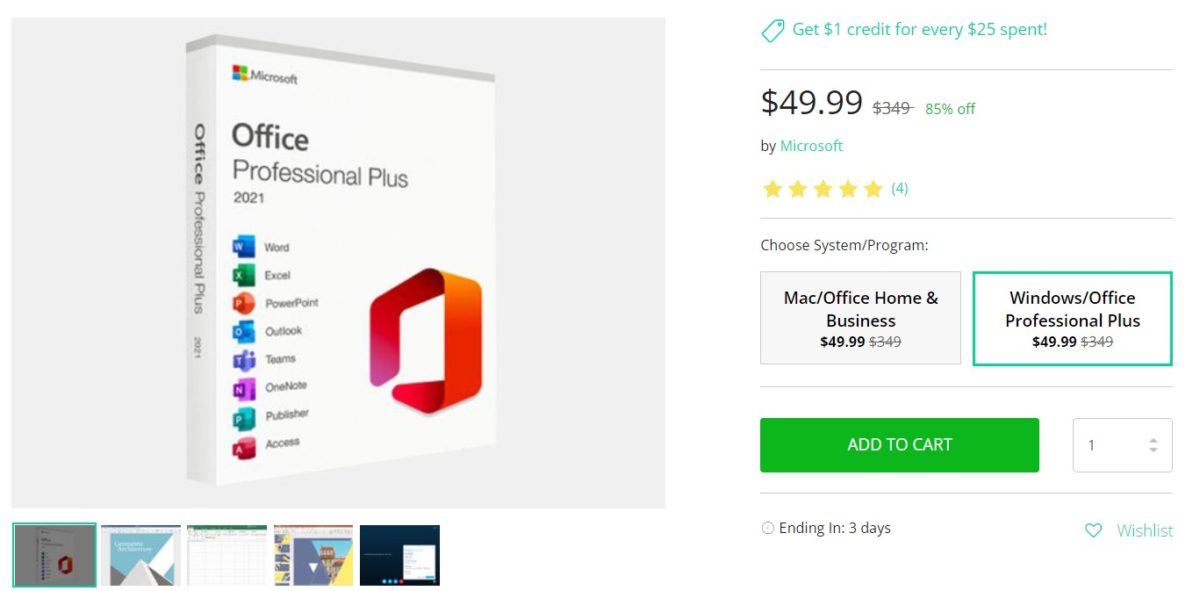 Microsoft Office Professional Plus 2021 Deal