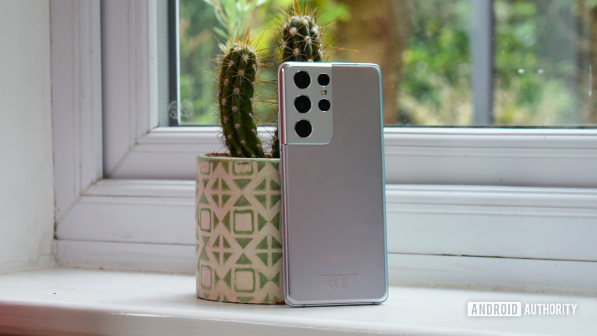 Samsung Galaxy S21 Ultra back stood by cactus