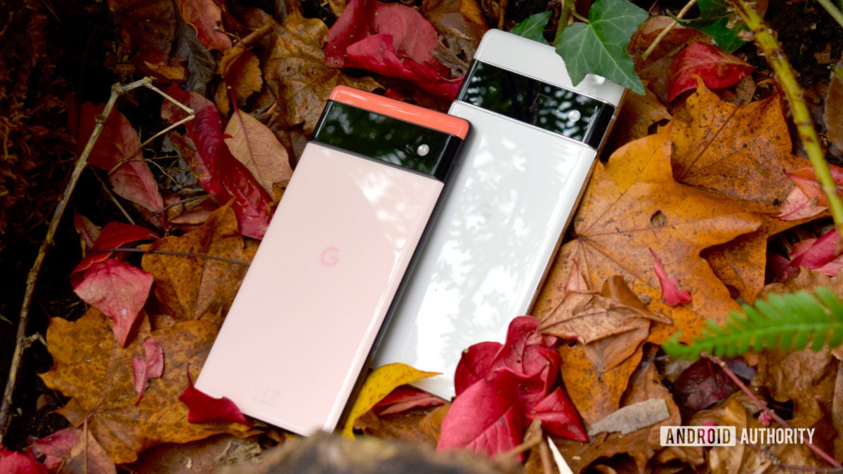 Google Pixel 6 and Pixel 6 Pro lying on autumn leaves