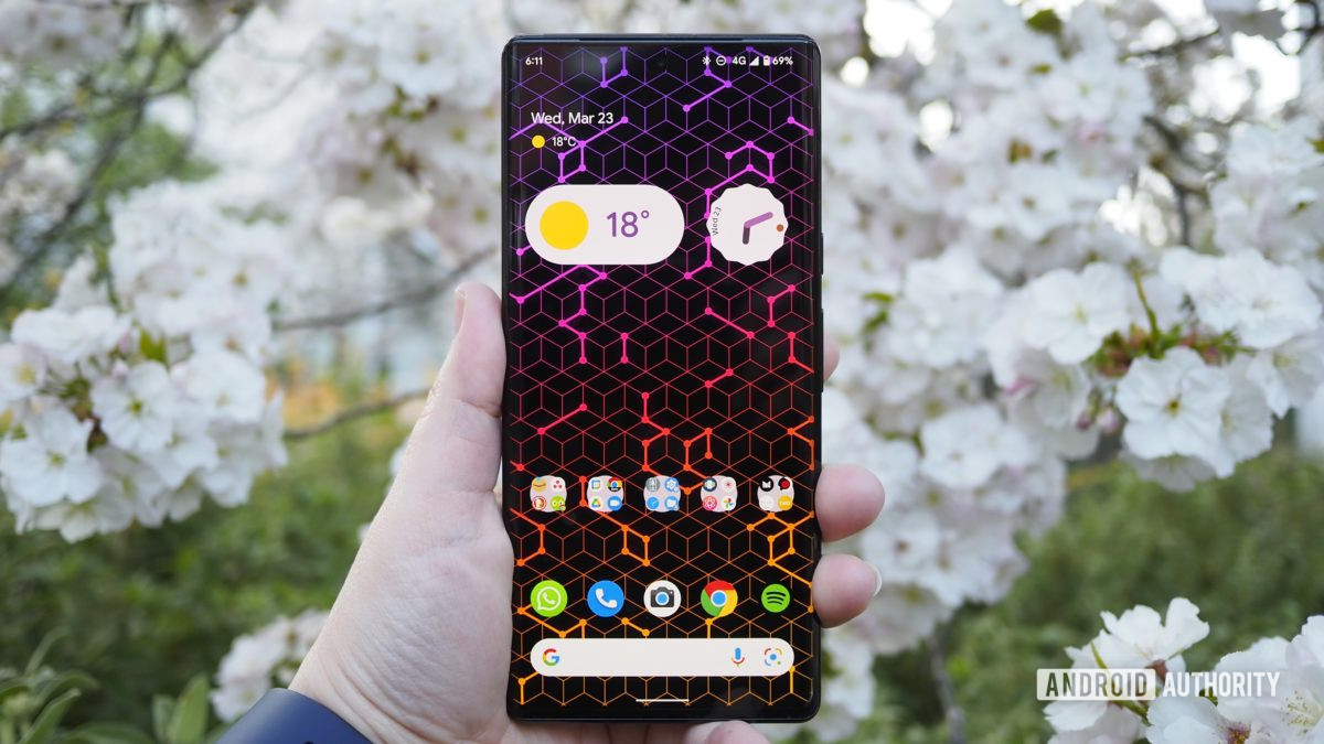 Google Pixel 6 Pro front homescreen with cherry blossoms in the background