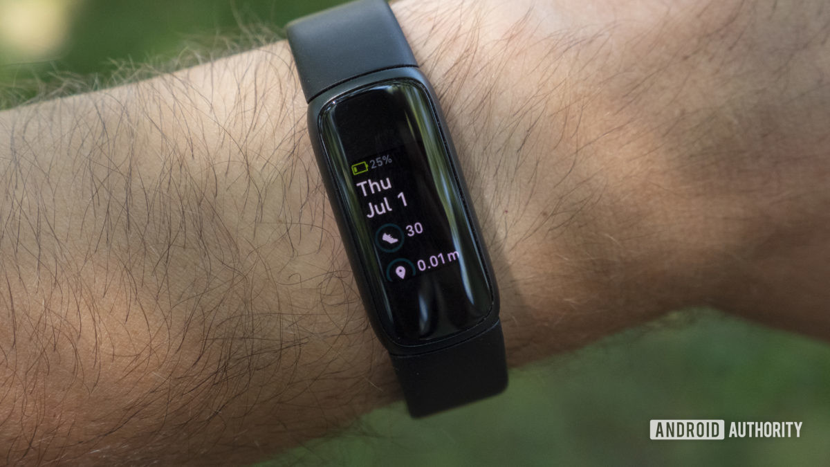 fitbit luxe review battery life daily stats