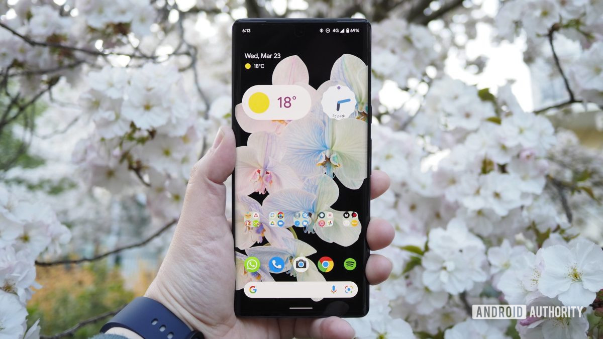 Google Pixel 6 Pro front homescreen with cherry blossoms in the background