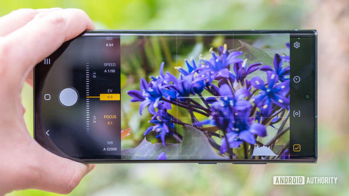 Samsung Expert RAW manual controls shooting flowers