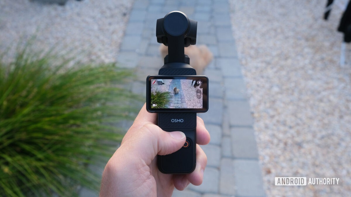 DJI Osmo Pocket 3 in hand with display in landscape mode viewing a cat on screen