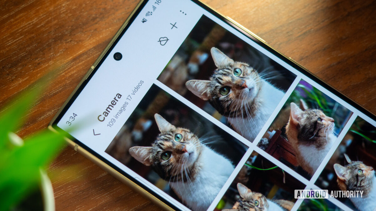 samsung galaxy s24 ultra gallery cat pet