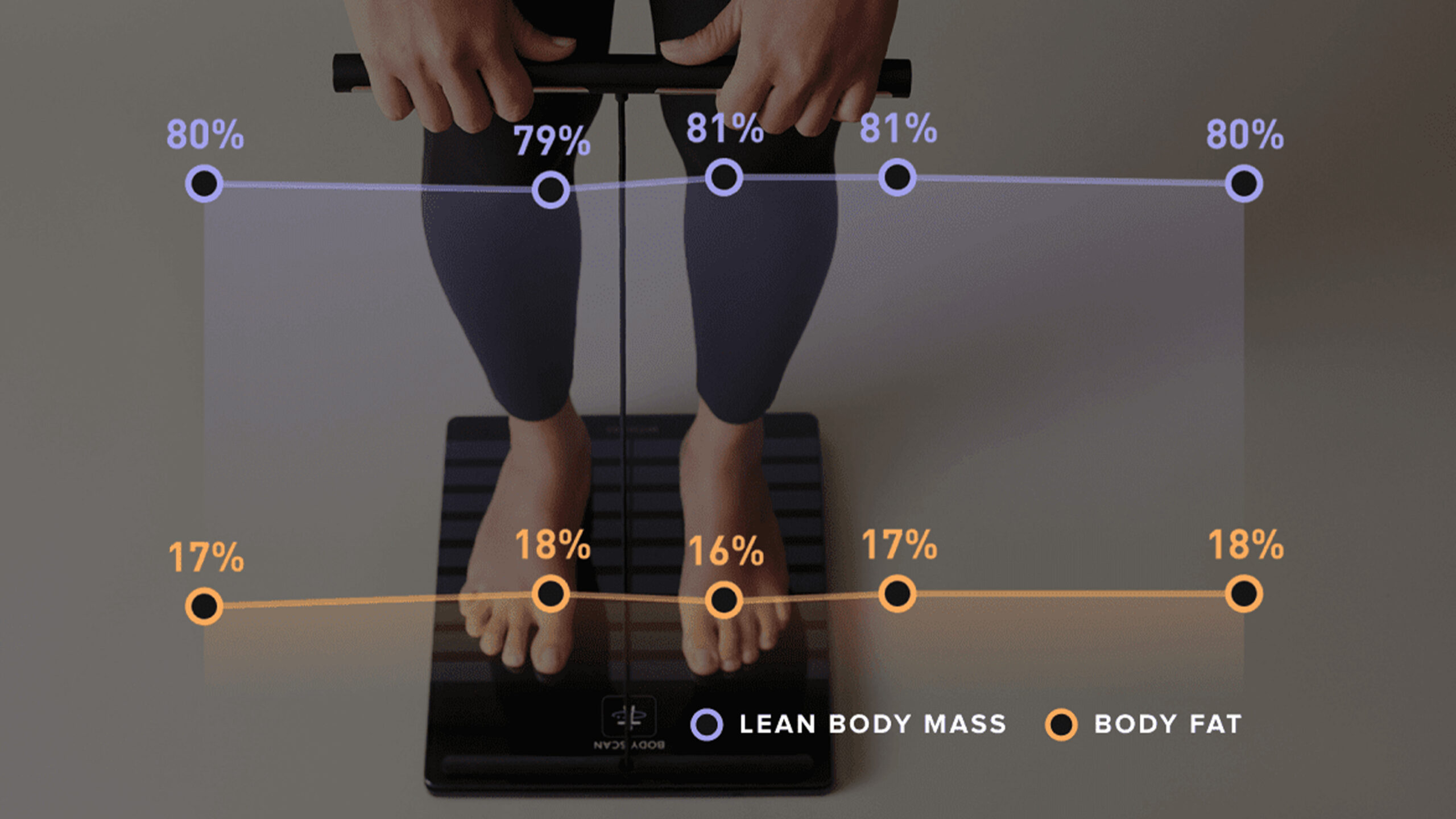 Whoop Lean Body Mass Body Fat Trends