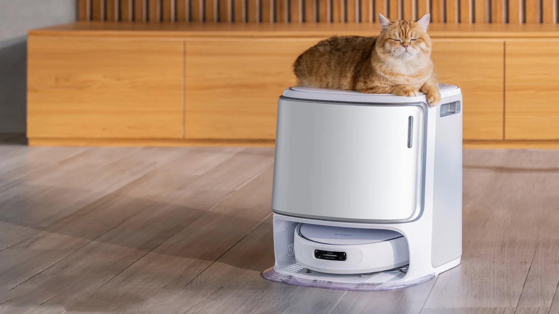 Narwal Freo Z Ultra robot vacuuma and mop with cat