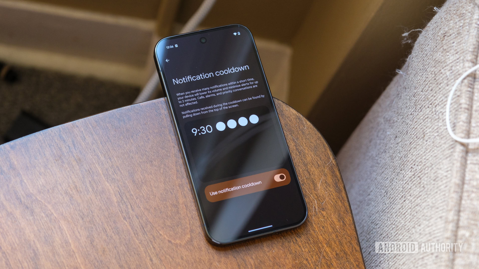 Pixel 9 Pro notification cooldown screen