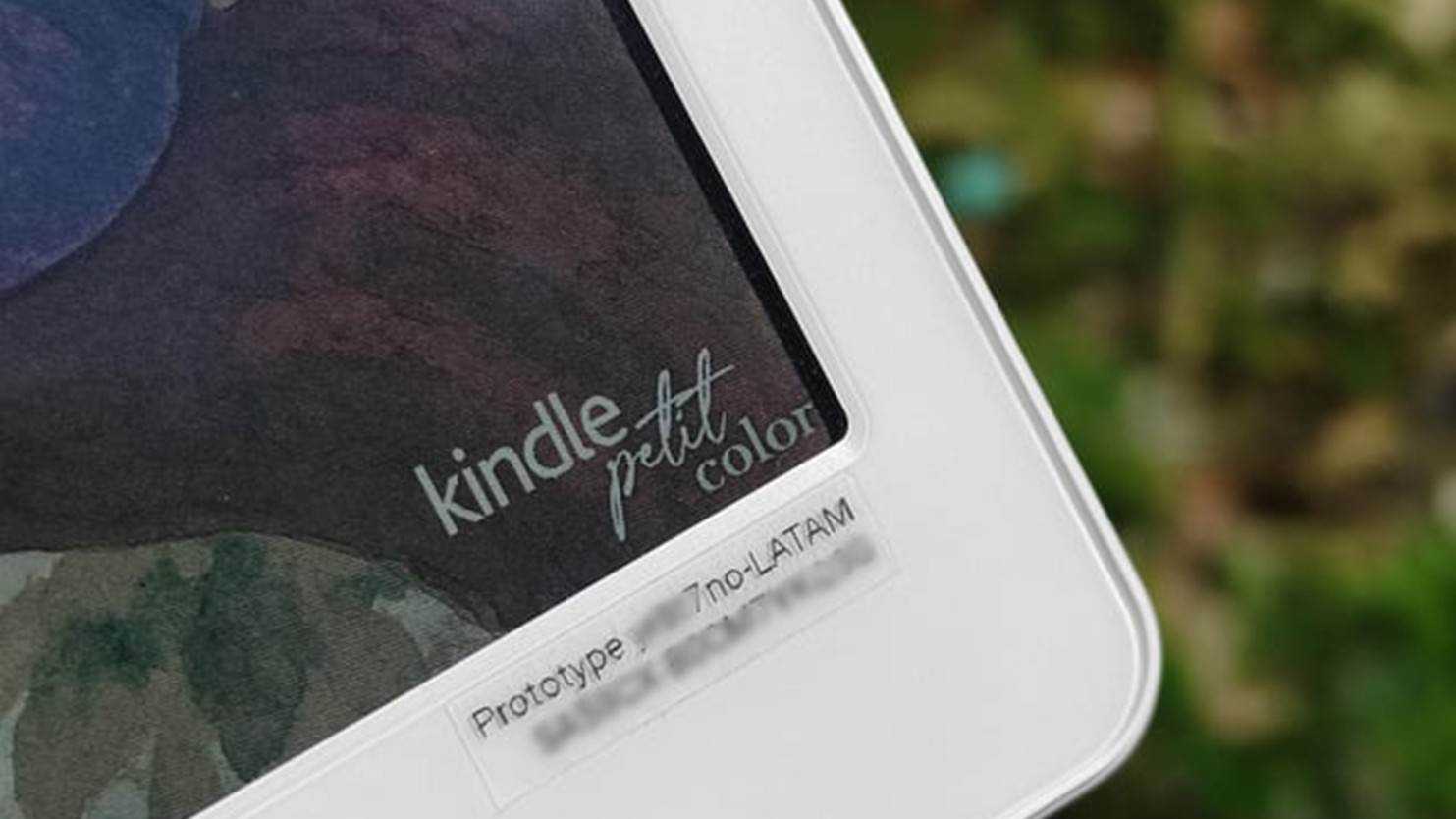 Kindle Petit Color Leak Reddit 1