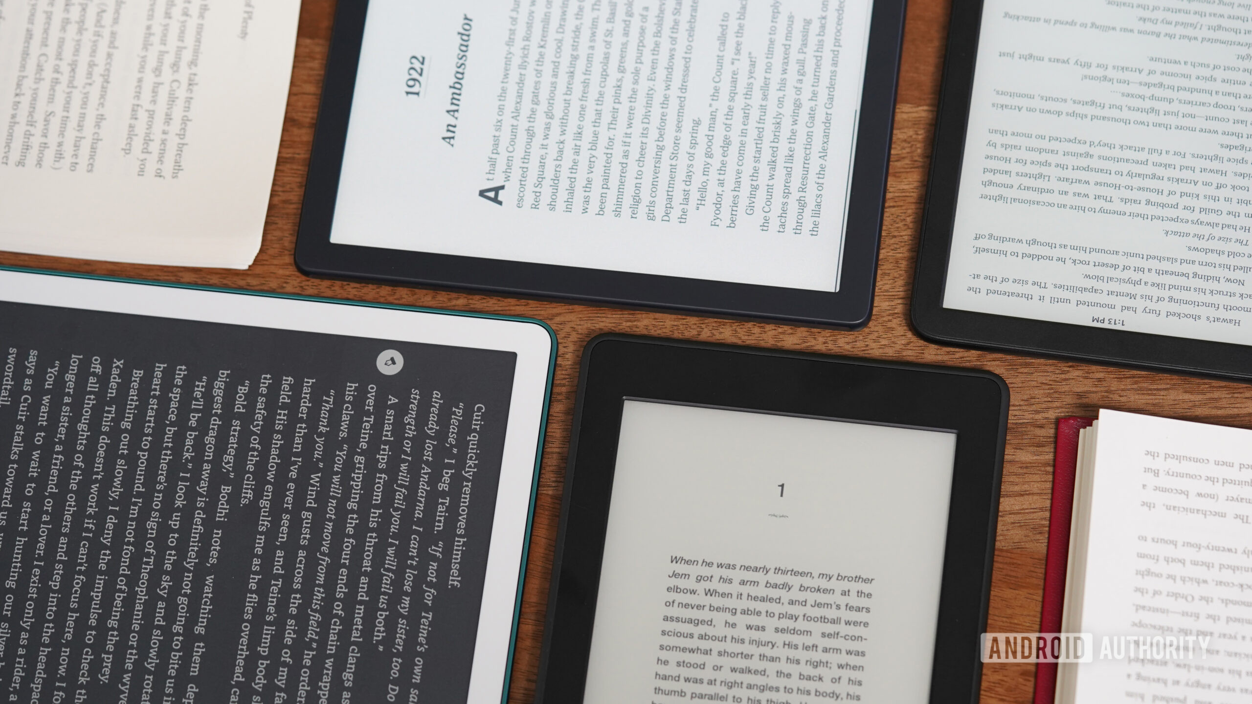 A variety of E-Ink devices display books.