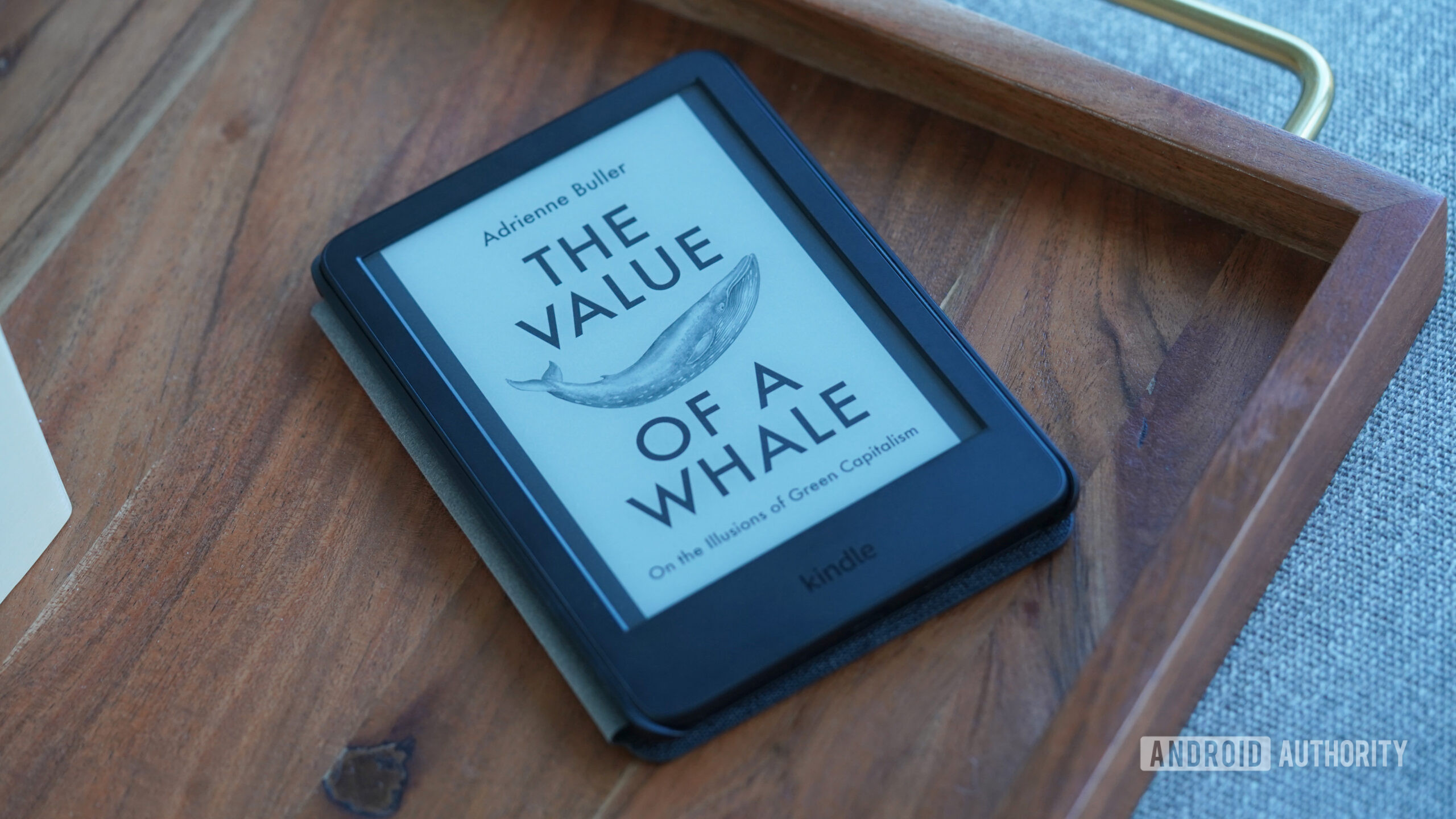 Kindle e-books just got harder to back up.