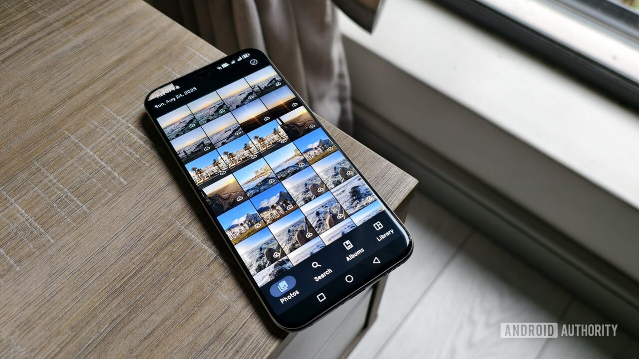 photos in the immich app on a smartphone