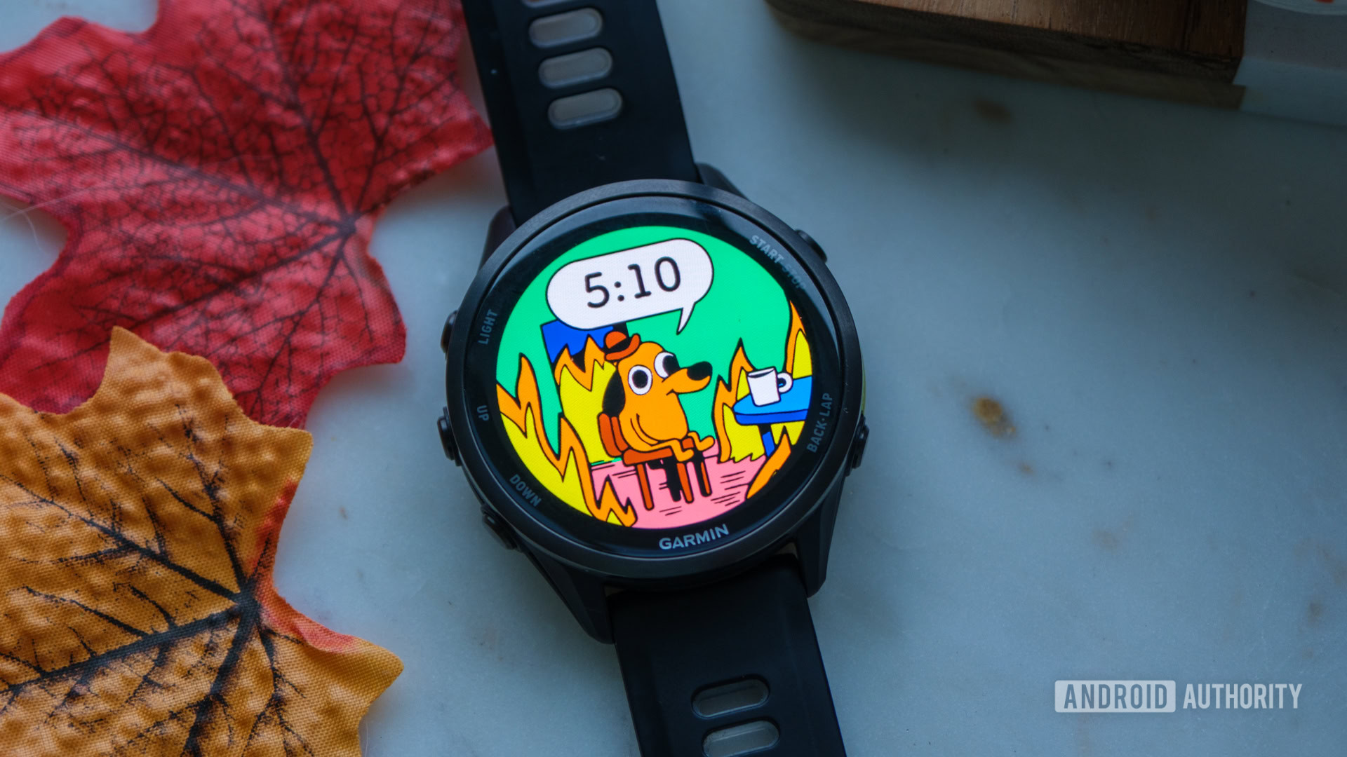 Garmin This Is Fine Watch Face time