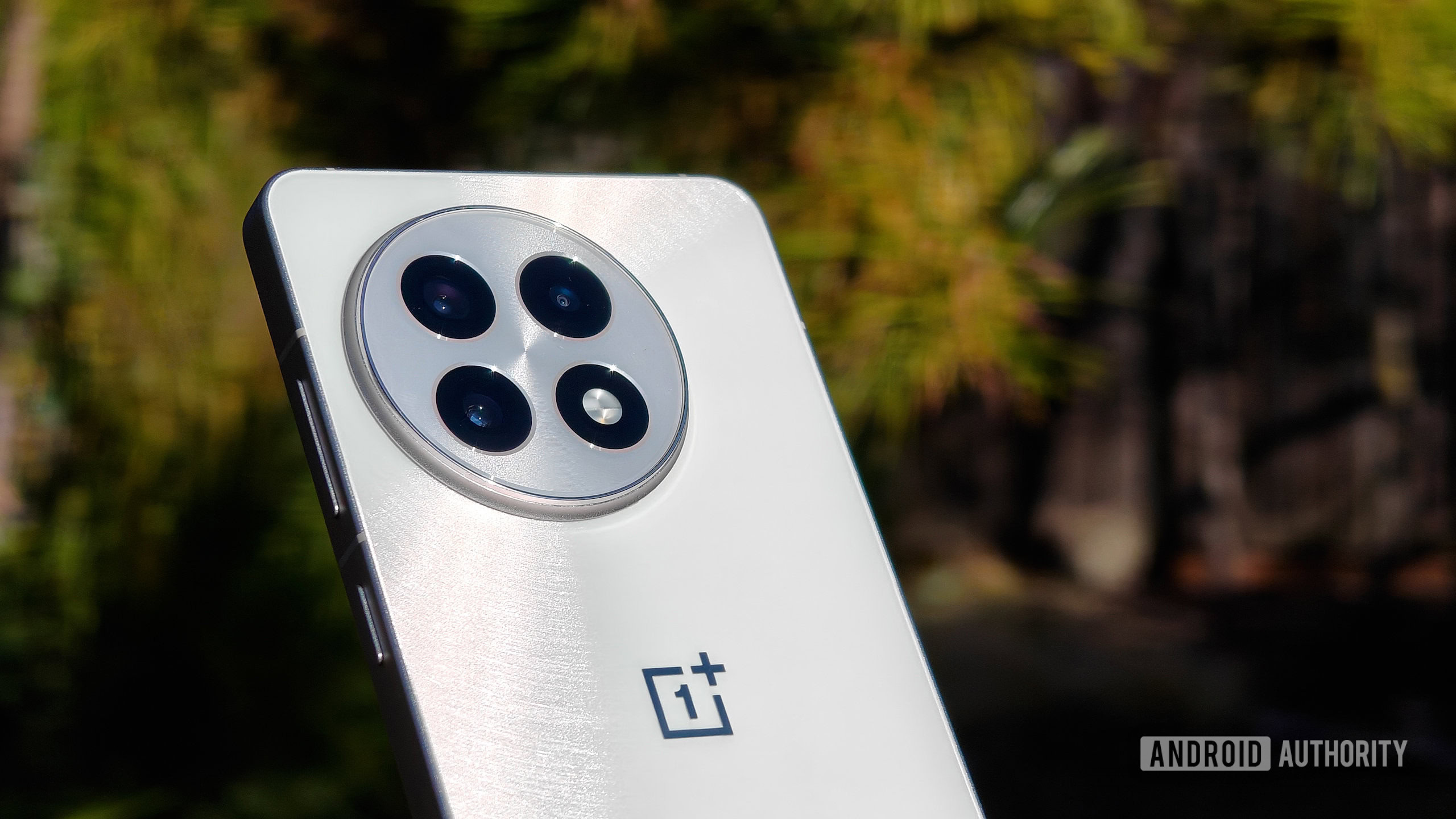 OnePlus 13R review image back cameras