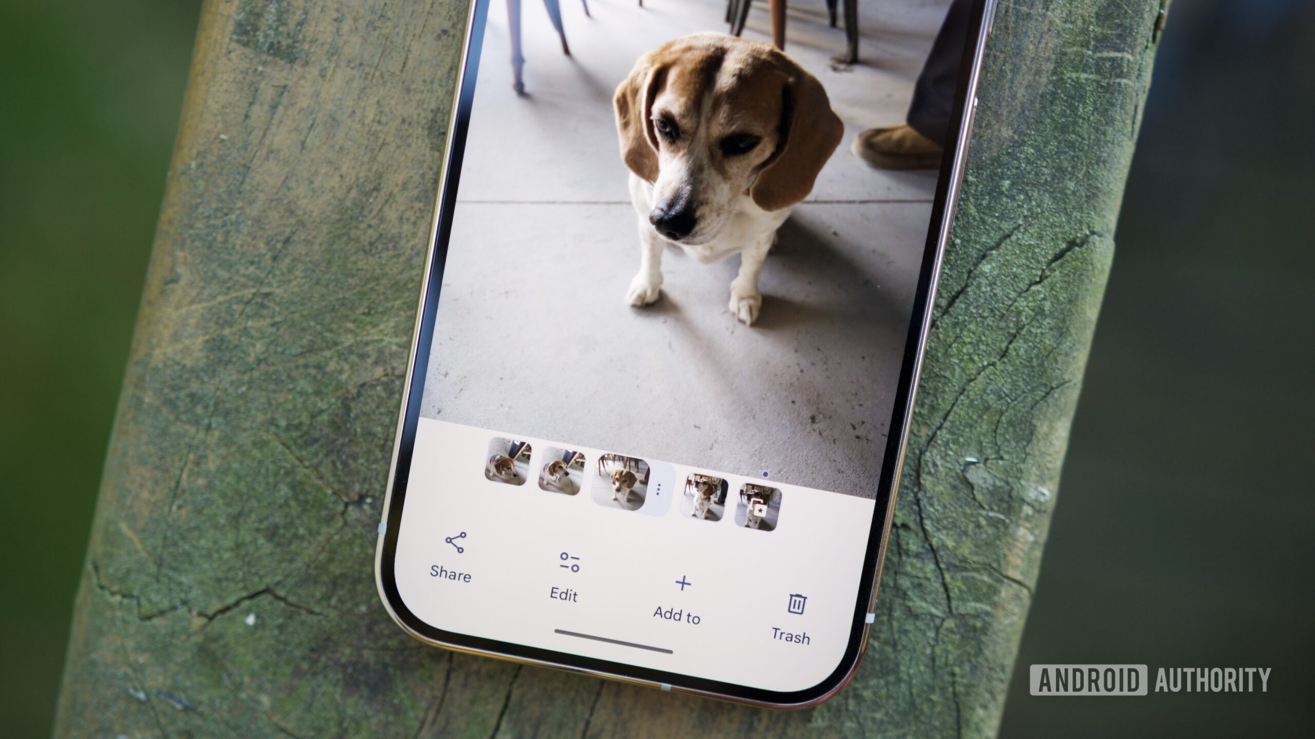A photo stack in Google Photos.