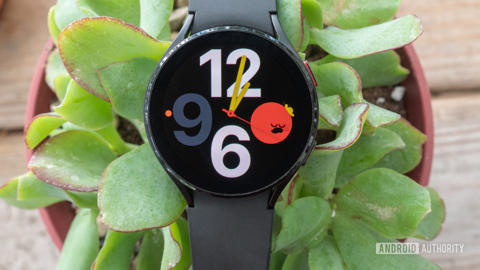 samsung galaxy watch 4 review watch face display 1 The Samsung Galaxy Watch 4 in a plant.