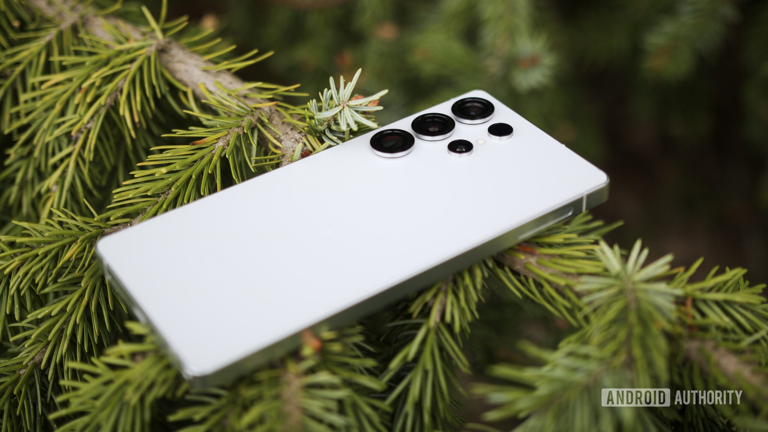 The Samsung Galaxy S25 Ultra laying on top of a tree branch.