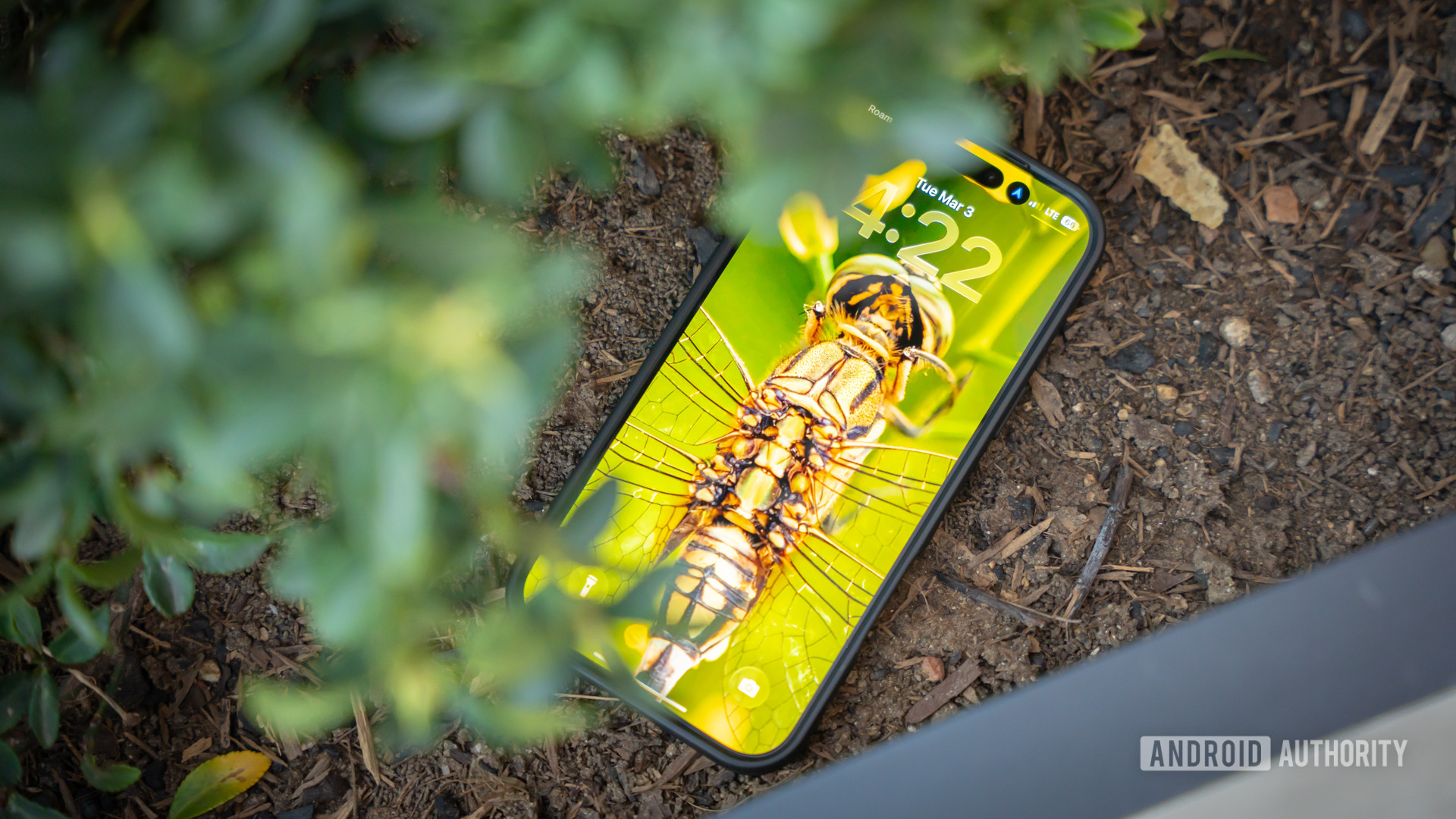 Wellpaper Wednesday March 4 2026